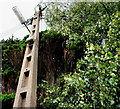 Concrete telegraph pole near Lisburn