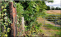 J2762 : Fence and gate, Lisburn by Albert Bridge