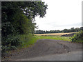 Access to a field near Lodge Farm