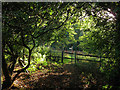 Footpath to Long House