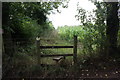 Overgrown footpath