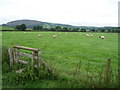 Old stile in the fields northwest of Caersws