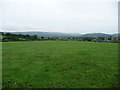 Large field near Llanwnog village