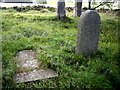 The two extant gravestones in the Terry Chapel enclosure