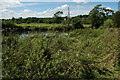 SP0047 : River Avon near Fladbury by Philip Halling