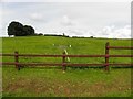 Annaghard Townland