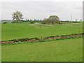 SO6370 : Undulating grassland, Knighton on Teme by Richard Webb