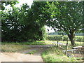 Footpath and track junction near Ponds Cottage