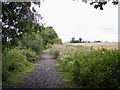 The trackbed of Cronton Colliery railway