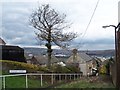 Arnold Street, Walkley, Sheffield