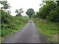 Byway north from Painshill Farm