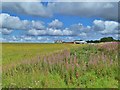 Club House and Glider Field, Yorkshire Gliding Club