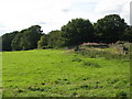 Pasture and woodland east of Carrsgate