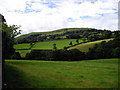 View near Pantycelyn Farm