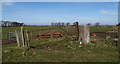 Fields at Shawtonhill