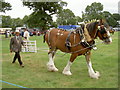 Ryedale Show 2010