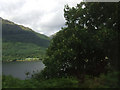 NN2702 : Loch Long and Ardgartan by Thomas Nugent