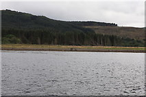 NM6256 : Shore of Loch Teacuis by Michael Jagger