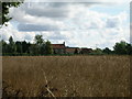 Farmland looking towards Field House