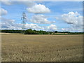 Farmland near Common Farm