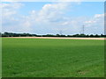 Farmland near Westfield Farm