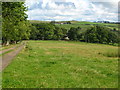 Pastures and woodland west of Dodd Bank (4)