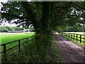 Farm track near Upper Norwood