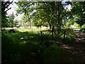 Small picnic area at Graffham