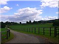 Long straight footpath near Graffham