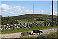 Linkinhorne: Caradon Hill television mast