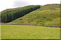 Farmland and a small forestry plantation in Glen Lyon