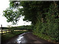 Scragged Oak Road, near Detling