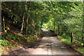 Road through woodland in Glen Lyon