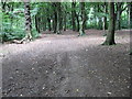 Footpath in Lower Fell Greave