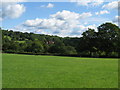 Salters Green Farm from the footpath near Freemans Farm