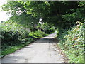 Argos Hill Road passing Brook Farm