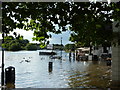 Litter bins in the Thames at Richmond