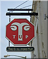 The Guildford TUP (pub sign), 46 Chertsey Street