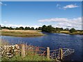 Lanehulcheon Pool, River Dee.