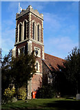 TL8918 : All Saints Church, Messing, Essex by Peter Stack