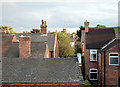 Bridgford rooftops