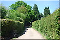 Bridleway off Wadhurst Rd