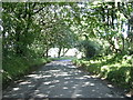 Tree lined road near Stonehall Farm