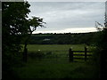 Gate to  field near Sealyham