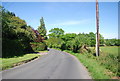 The road to Bells Yew Green