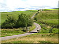 The cleugh of Front Burn