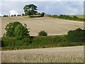 Stubble fields near Barford St Martin