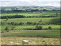 Farmland between Shankhead and The Steel