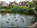 The duck pond, Lingfield, Surrey