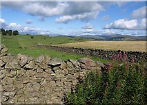 SD4596 : Walls by the Dales Way by Derek Harper